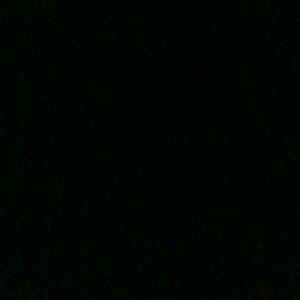 Meet your Posher, Gracie